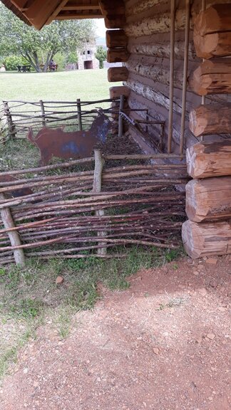 IMG-20200604-WA0002